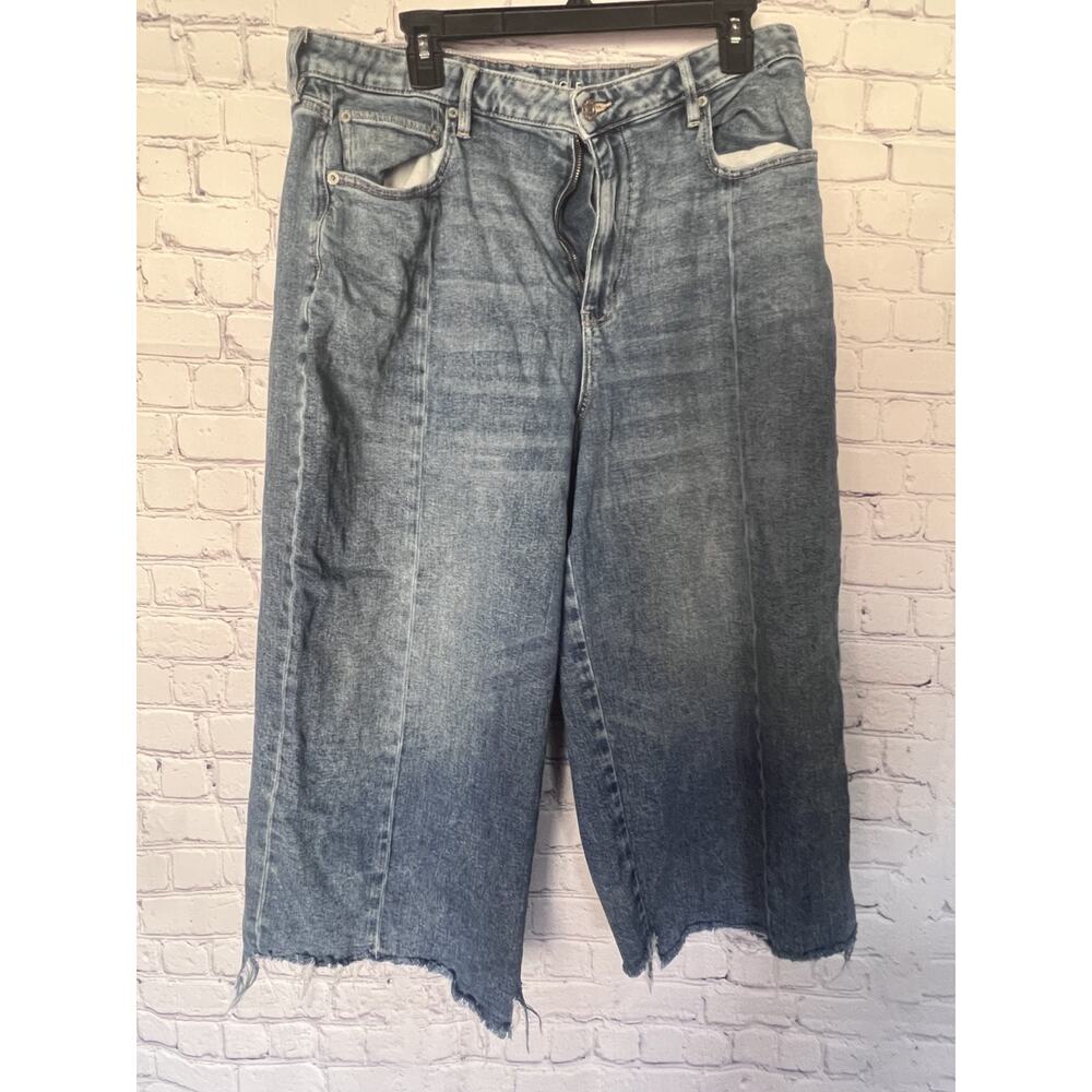 American Eagle Outfitters Light Blue Flare Jeans